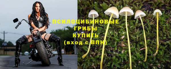 героин Богданович